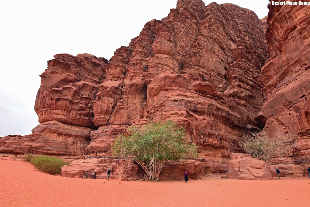 Desert Moon Camp Wadi Rum Extérieur photo