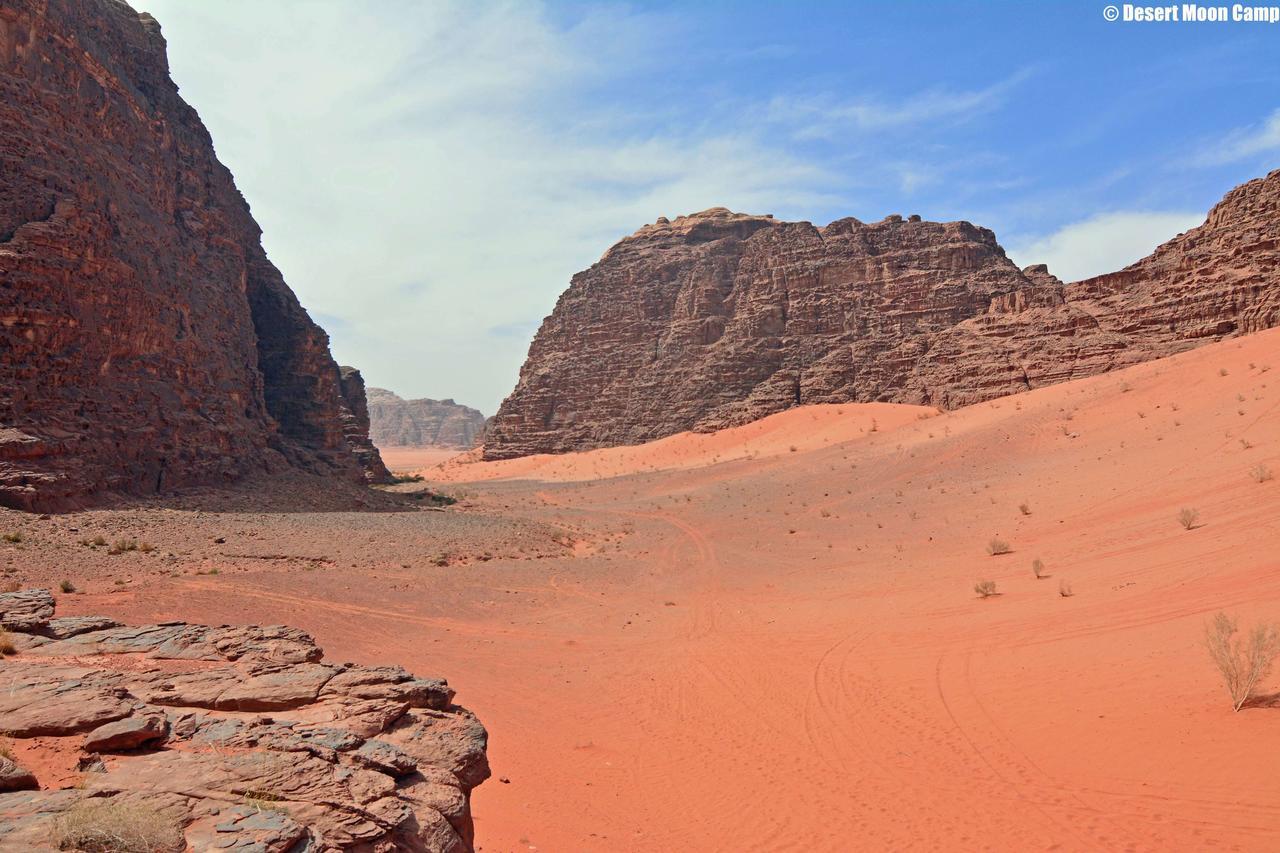 Desert Moon Camp Wadi Rum Extérieur photo